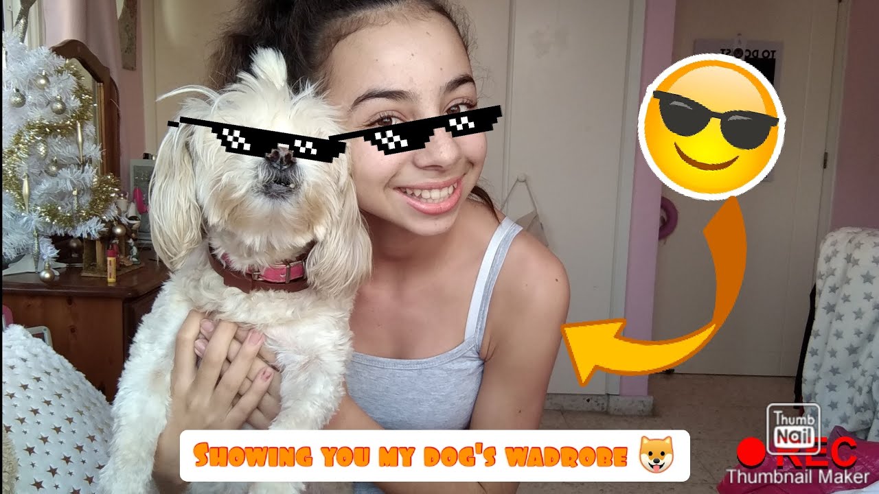 Showing you my dog's closet ft. Maggie Clare || Leila Clare
