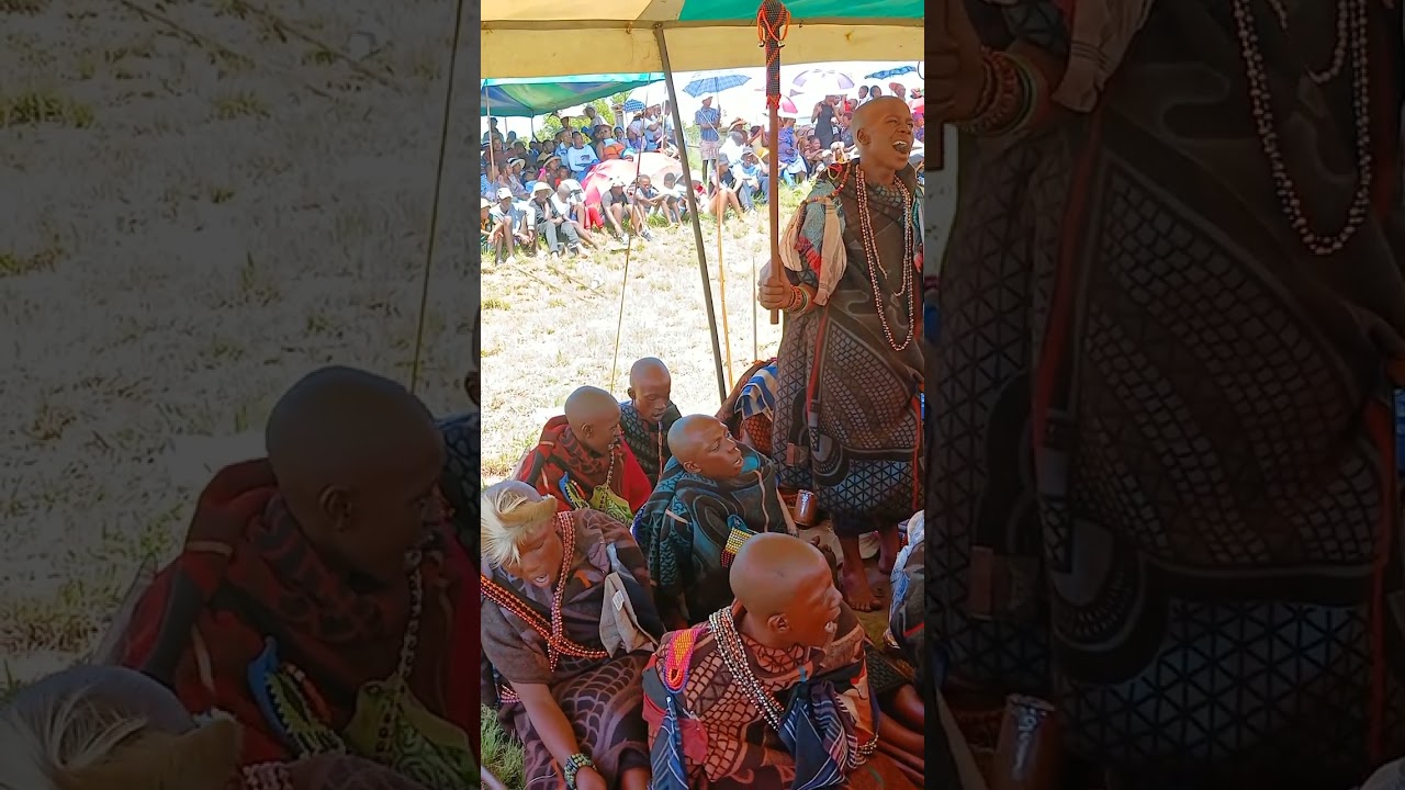 Makoloane a maluti matatiele jan 2025 