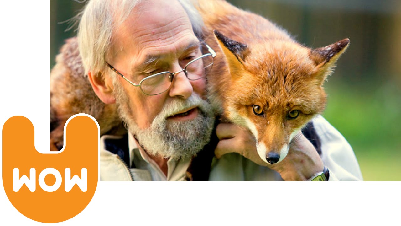 Man Lives With a Pet Fox