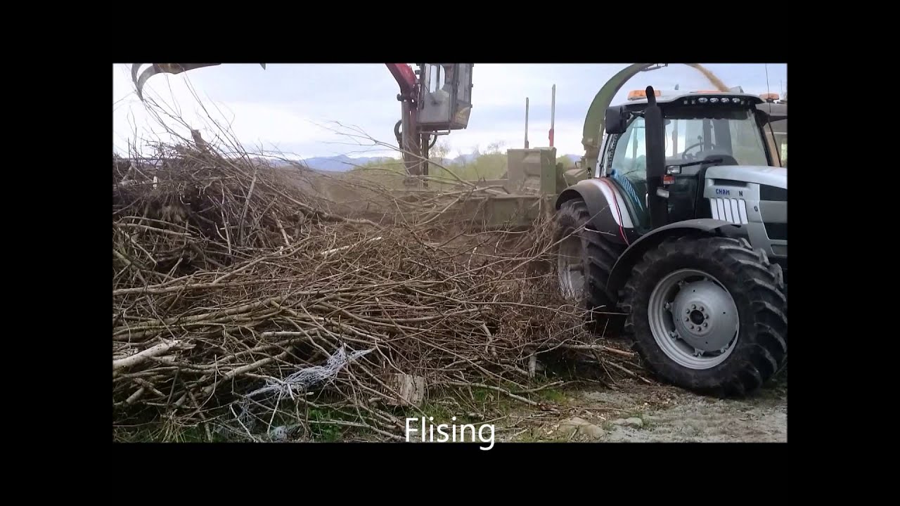 Nytt kyllinghus