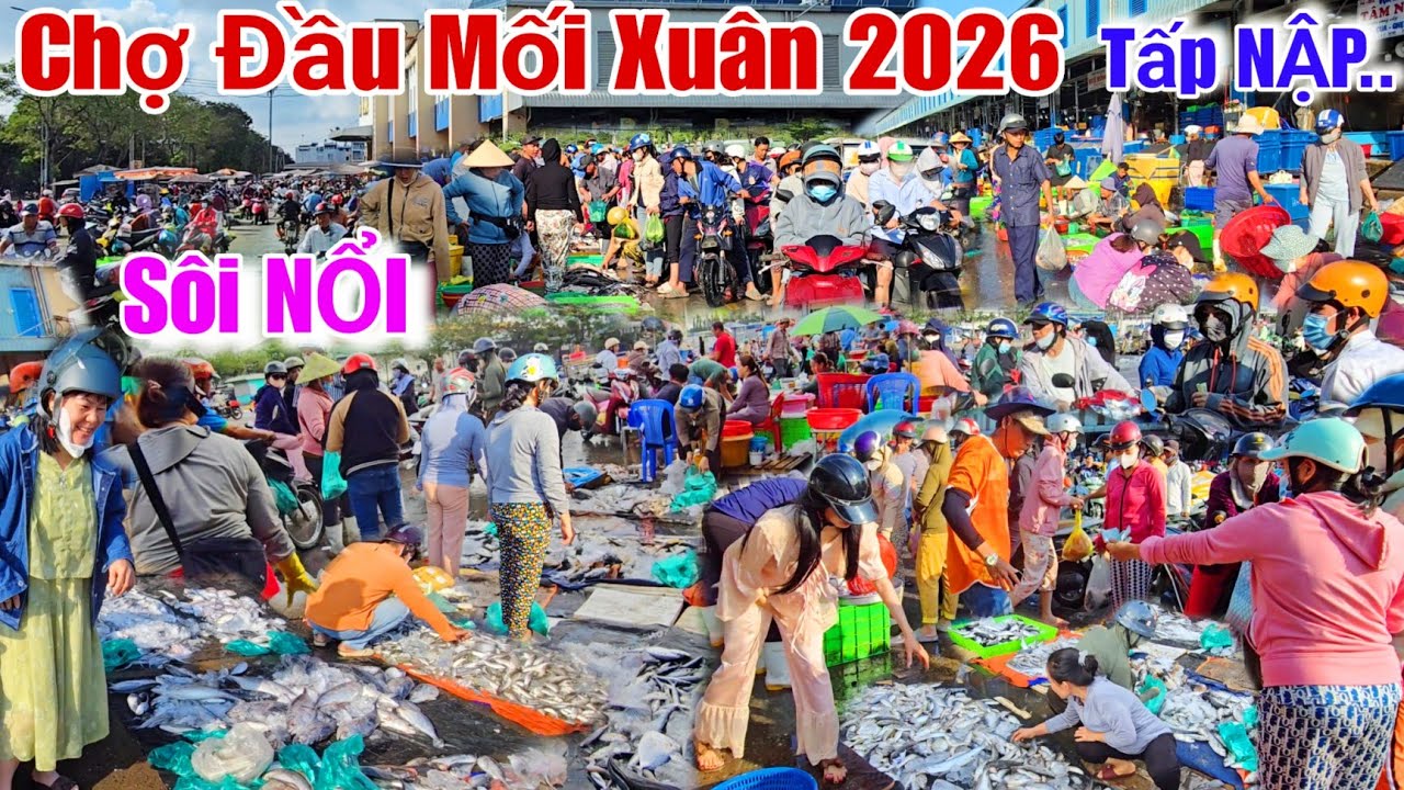 Chợ Bình Điền sáng nay Sôi NỔI..Nông sản,hải sản đổ đống Tấp Nập mua bán