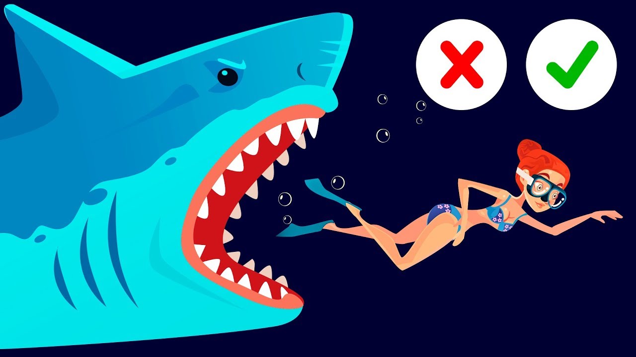 4 Tips on How to Stay Safe at Sea