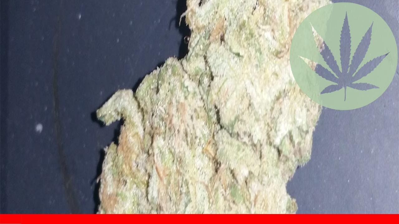 Sonoma Coma - All About This Strain