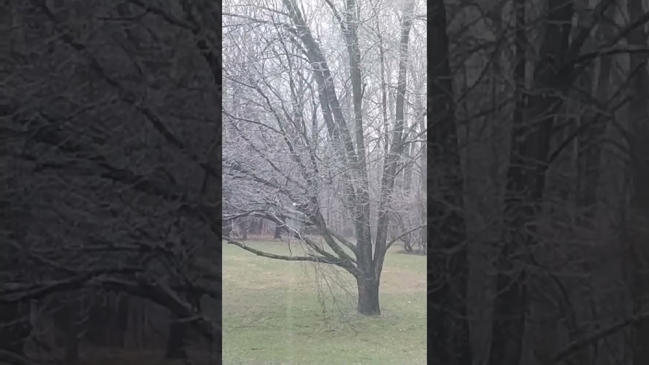 #Saginaw #Michigan #Weather #ice #snow #rain