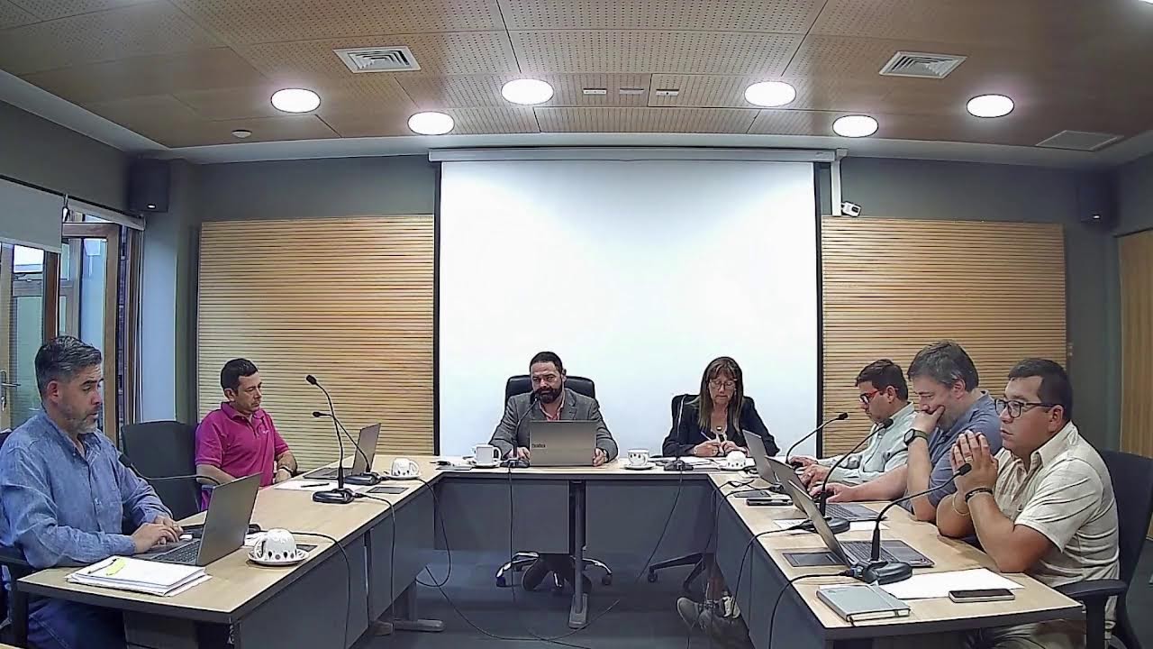 Concejo Municipal Extra Ordinario 29/01/2026
