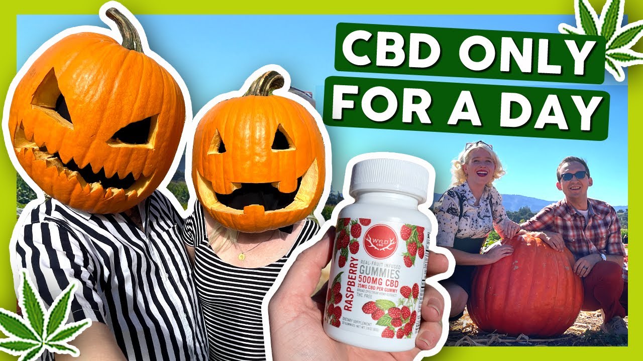 Самые вкусные жевательные конфеты с CBD 😋