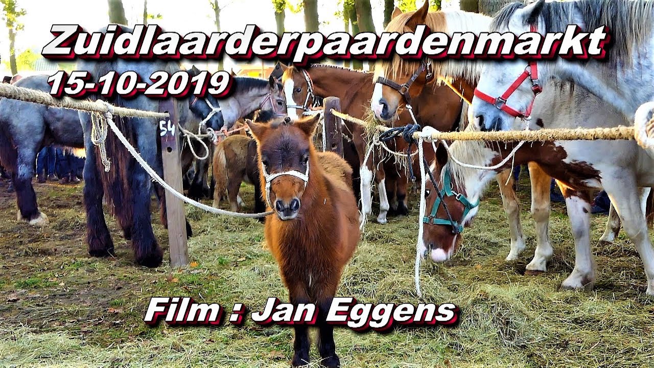 Zuidlaarderpaardenmarkt 15 10 2019