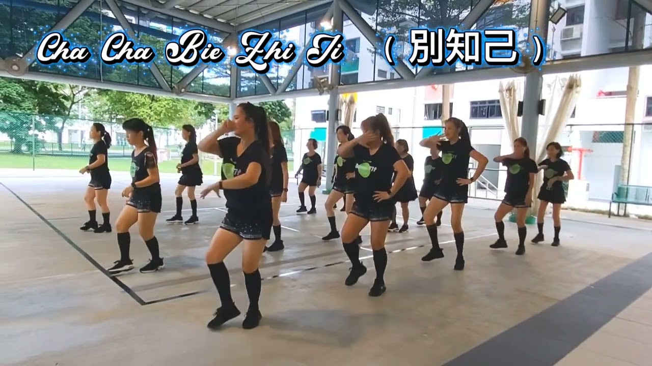 Cha Cha Bie Zhi Ji - Line Dance (别知己)