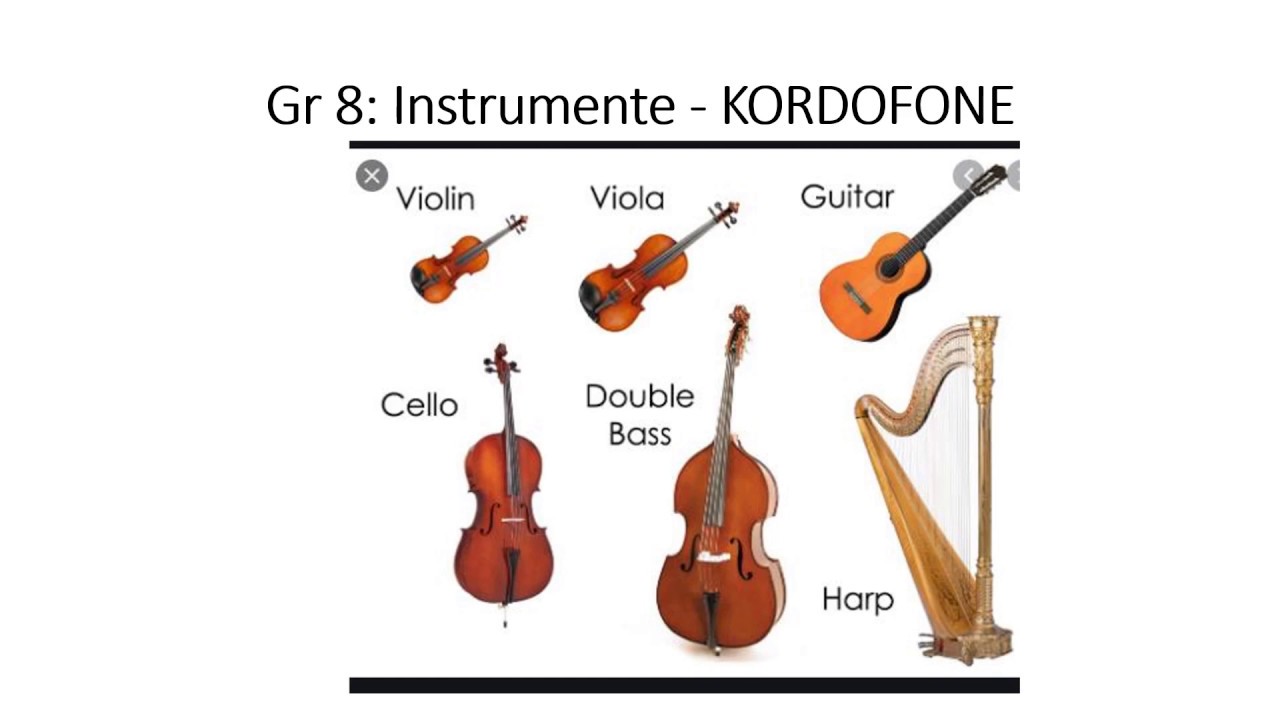 Gr 8 Musiek Instrumente: Kordofone