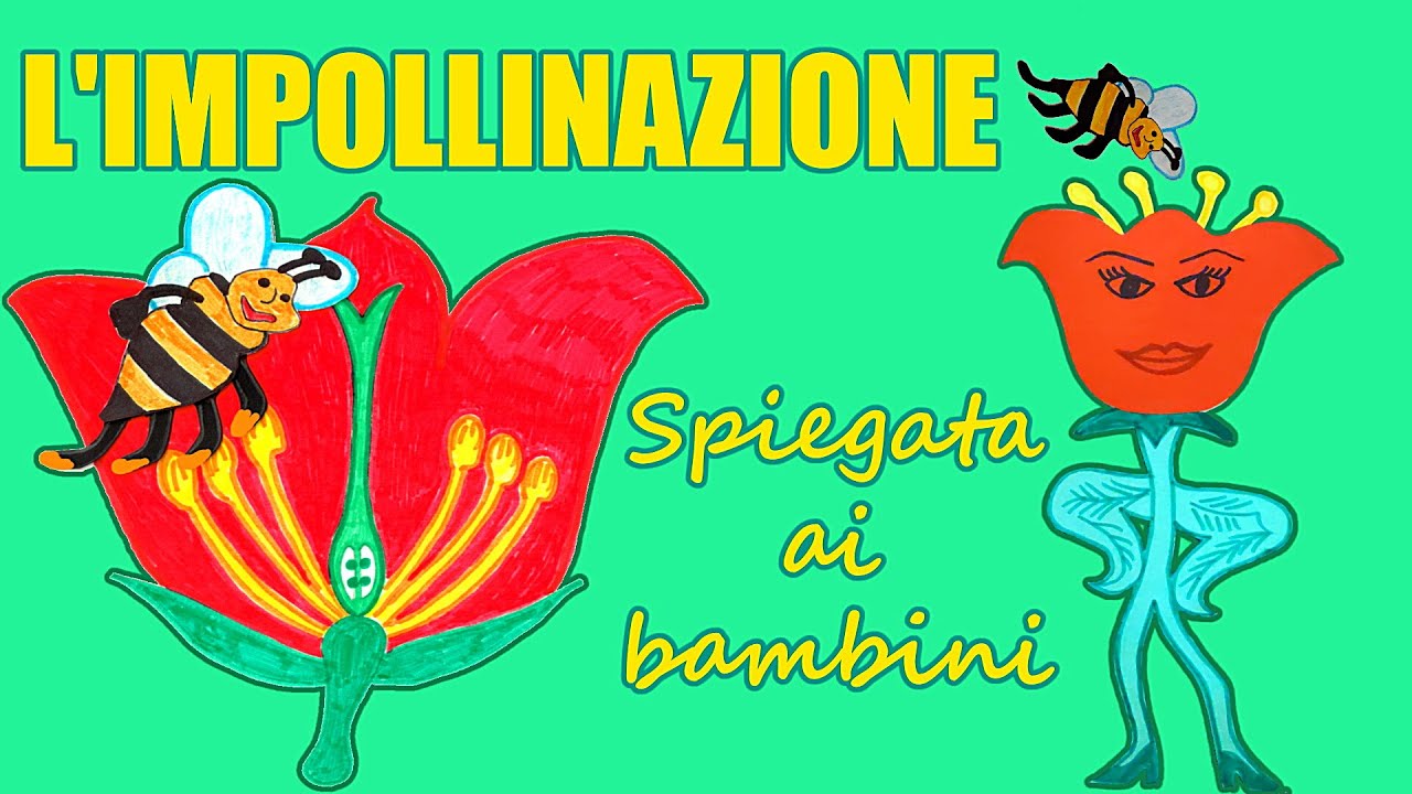 🌼🐝 L'IMPOLLINAZIONE spiegata ai bambini - L'importanza delle API 🌍🌺🐝(lezione di scienze)