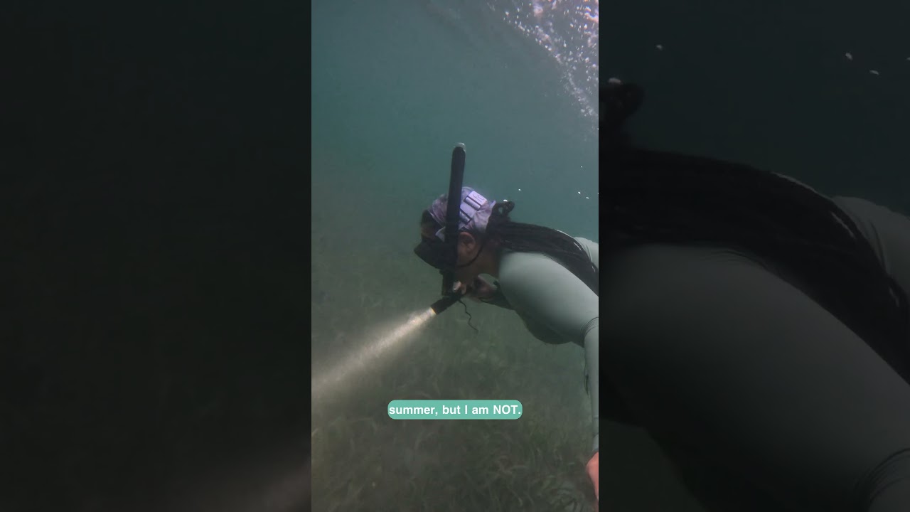 Night dives in a Seagrass Bed🌚🤿