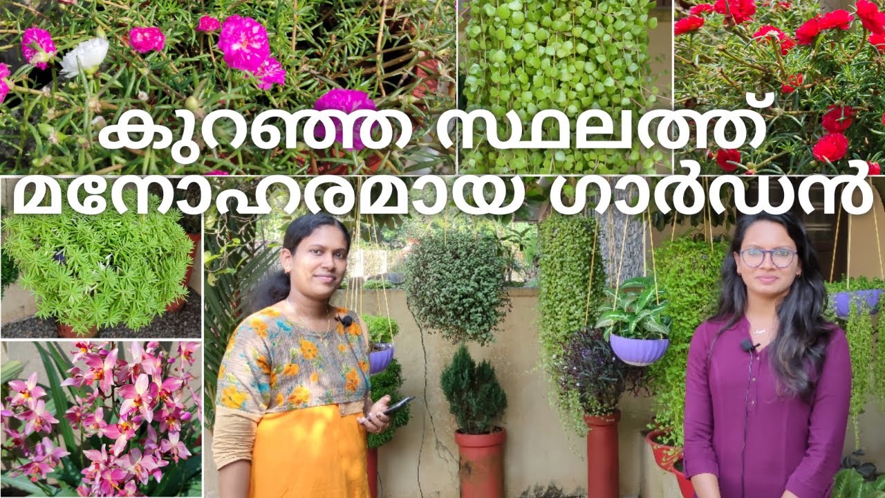 small space garden arrangement | Economical garden setting techniques |  garden tour