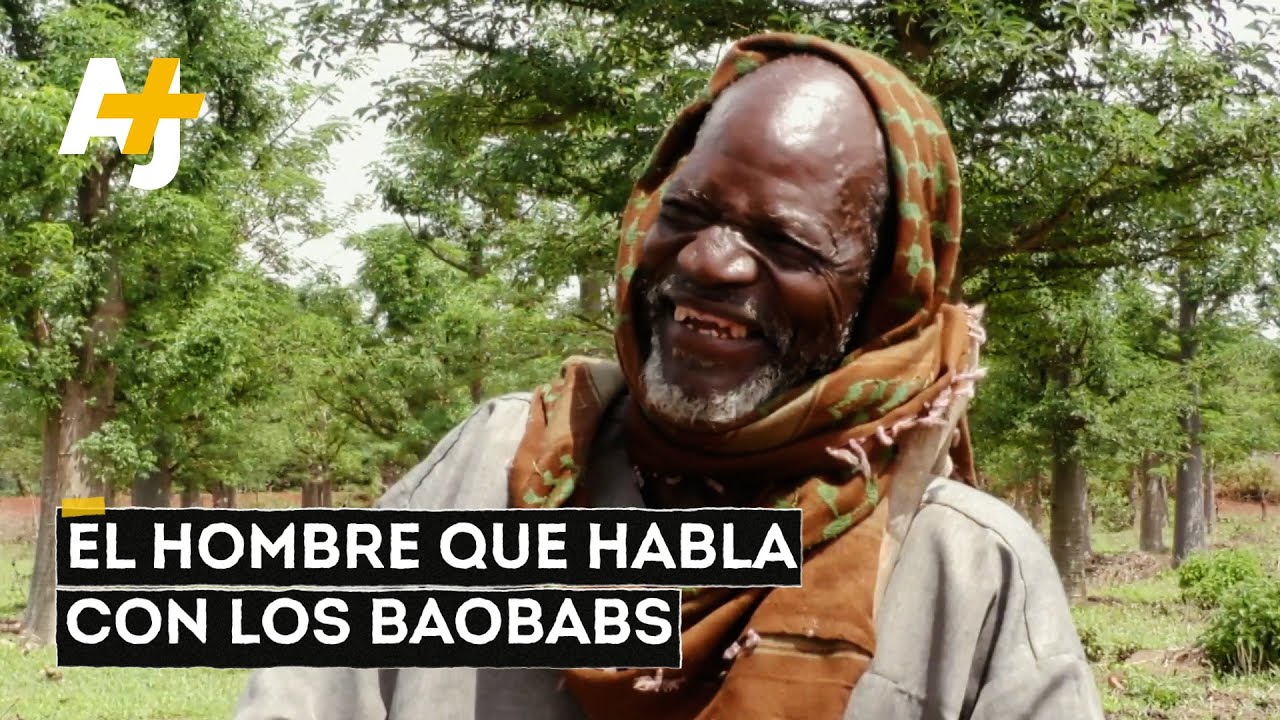 Baobabs contra la crisis climática | AJ+ Español