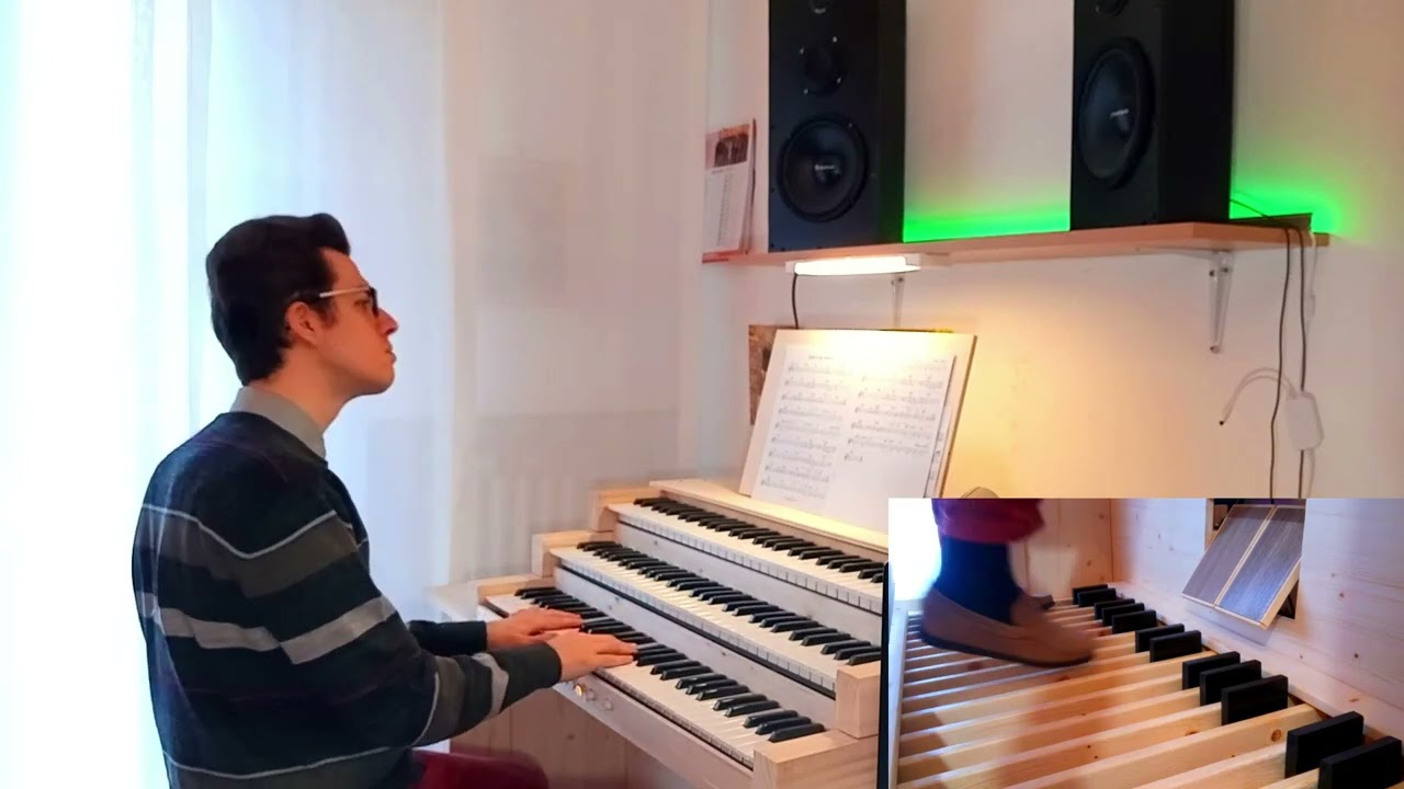 Giovane Donna Organo Friesach Software GrandOrgue Marco Natale