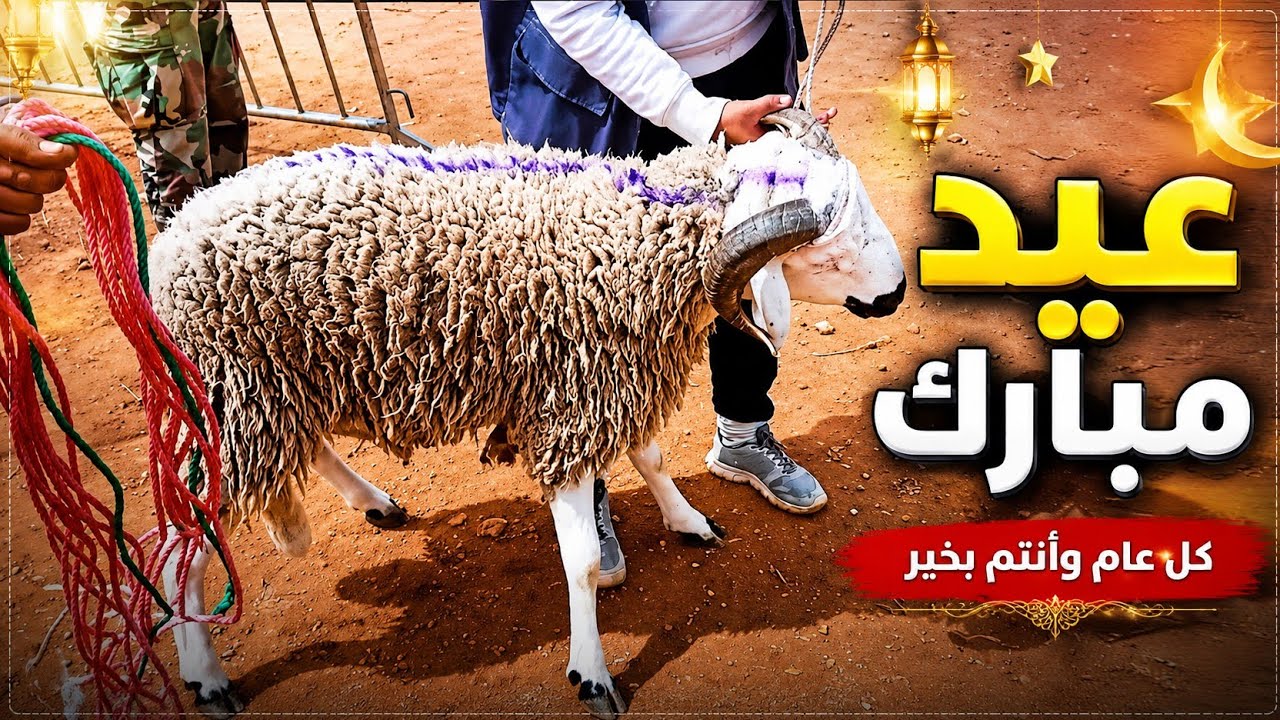 رحبت أناسي 💥  الدار البيضاء 🤩 لحولي لمليح موجود وتمان مناسب 🙆