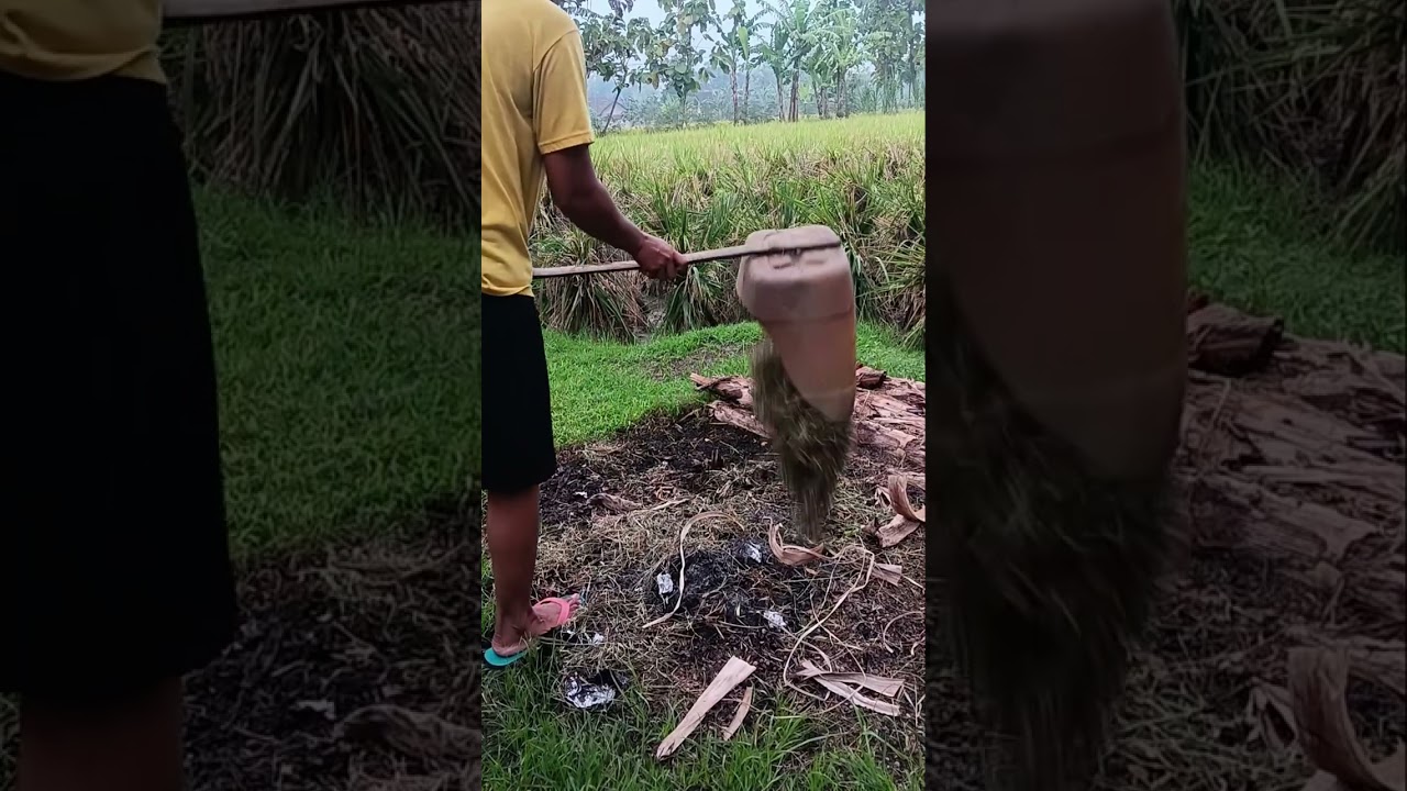 ASMR SMALL FARMING VILLAGE IN INDONESIA