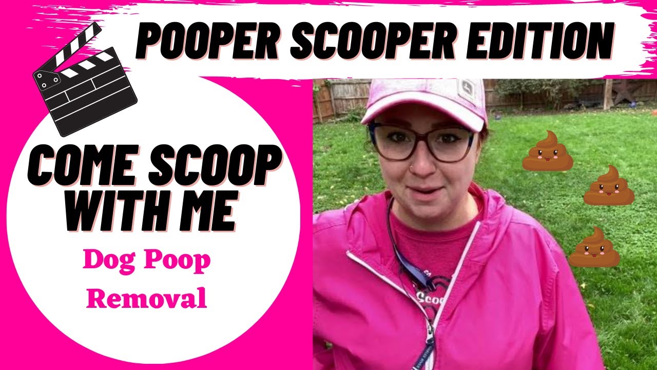 Picking Up Dog Poop Made Easy [Come To Work With Me]