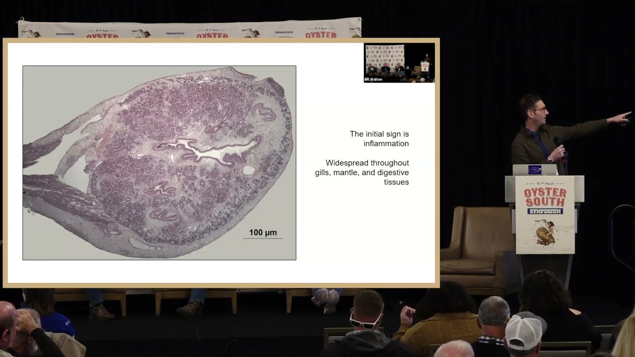 'SUMS Updates' panel moderated by Tal Ben-Horin & Andrea Tarnecki at the 9th Oyster South Symposium