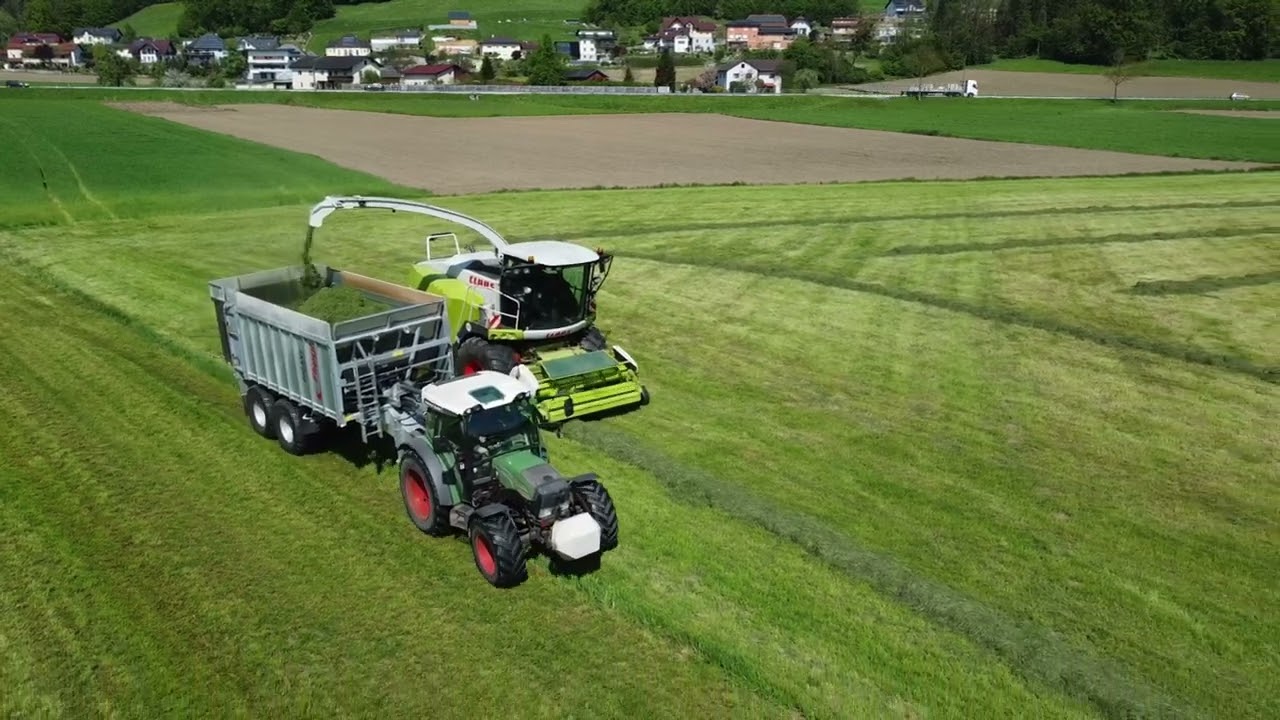 Grassilieren 2023 im unteren Mühlviertel