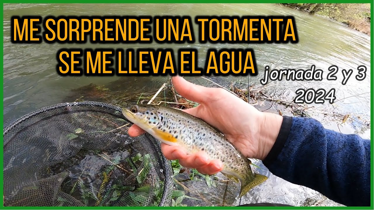 Me sorprende una tormenta; se me lleva el agua (2 jornadas). #flyfishing #catchandrelease #trout