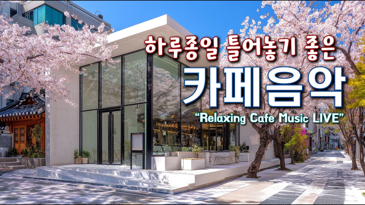 카페에서 듣기 좋은 음악과 하루를 함께 하세요 ☕(중간광고없음) 일할때 듣기 좋은 음악 🎧아침에 듣기 좋은 음악  Relaxing Cafe Music Playlist 260217