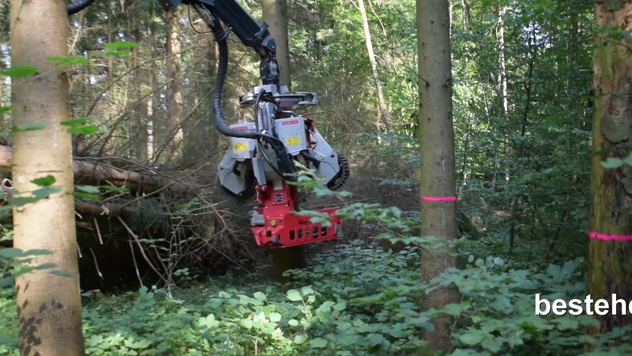 Forest AG Stettfurt Ecolog 580E mit Klemmbank