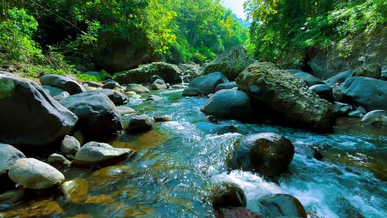Deep Relaxation River Sounds – 10 Hours for Anxiety & Stress Recovery Stress & Tension Release