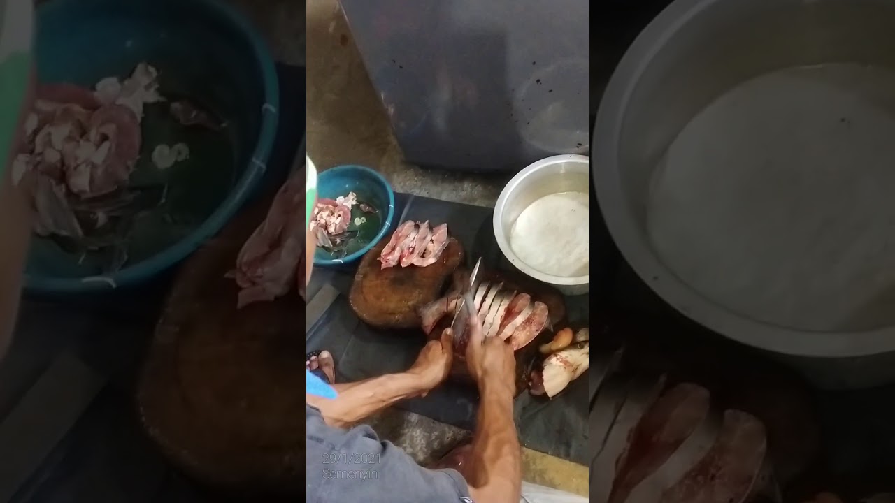 Tutorial siang ikan patin..cara mudah