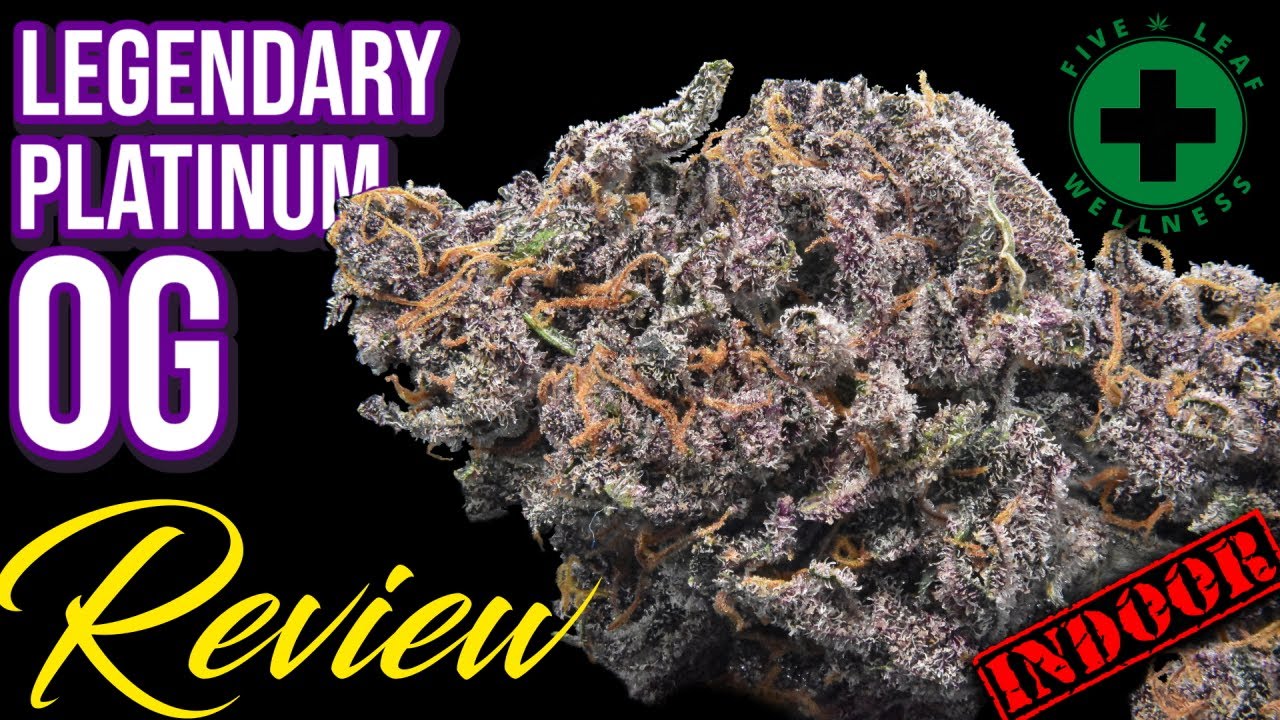 Легендарный Platinum OG &mdash; новый потрясающий сорт конопли! | Обзор цветка конопли с КБД