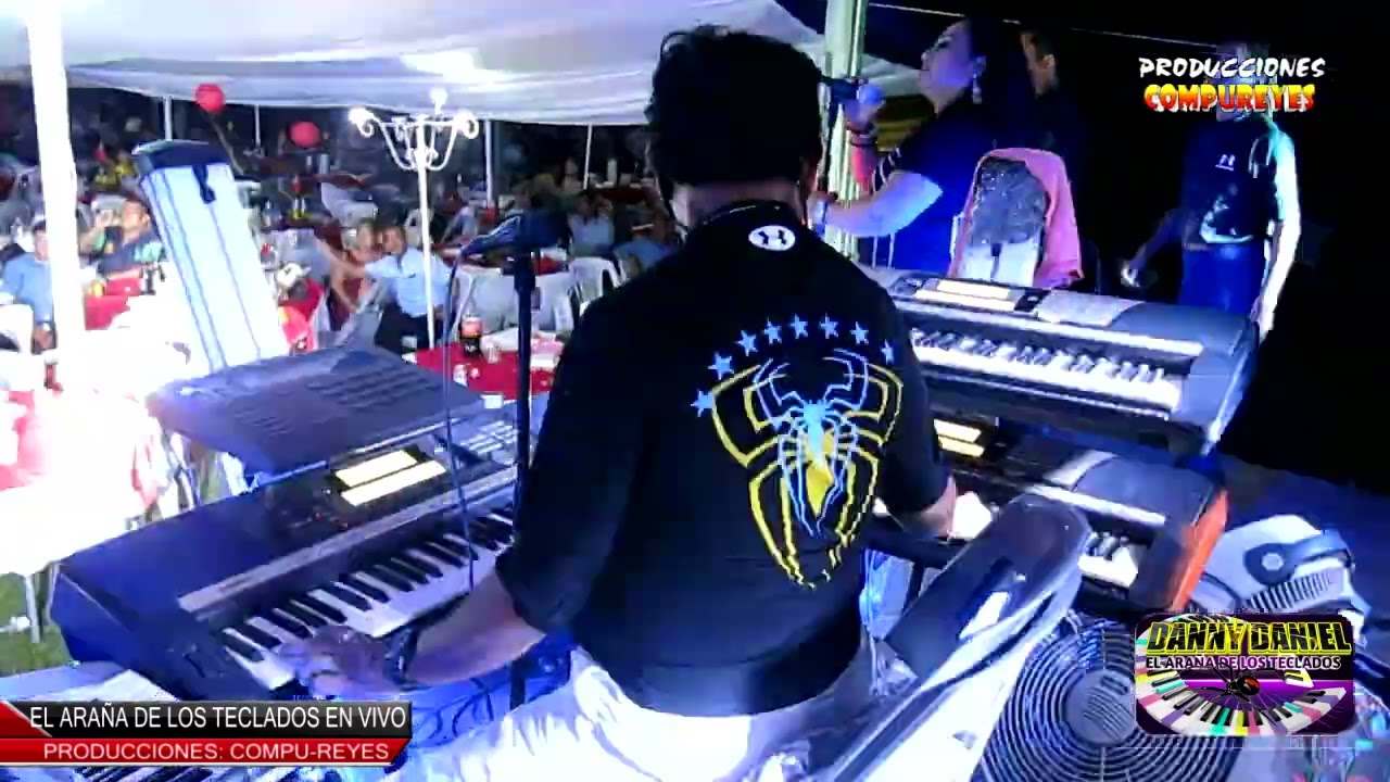 EL ARAÑA DE LOS TECLADOS ( la Chona )