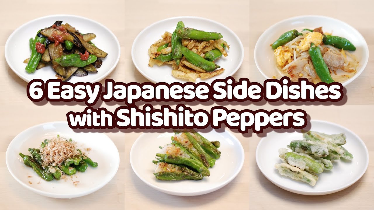 6 Easy 10 Min Japanese Side Dishes with Shishito Peppers Recipes