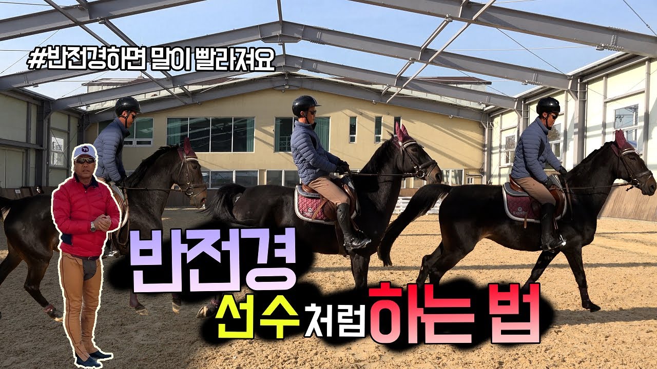 반전경 선수처럼 하는 법 (반전경하면 말이 빨라져요) [엑셀로 승마 꿀팁 제18화]