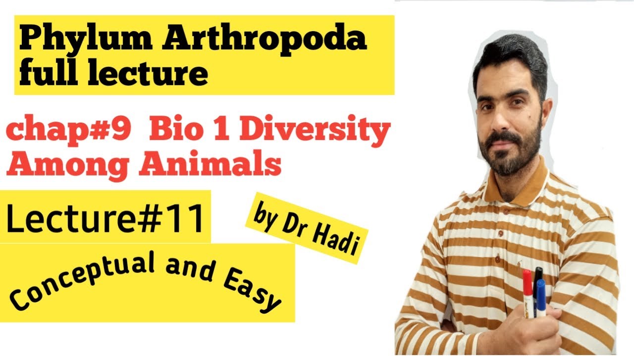 Phylum Arthropoda important points, simple and easy for Examination in Urdu Hindi By Dr Hadi
