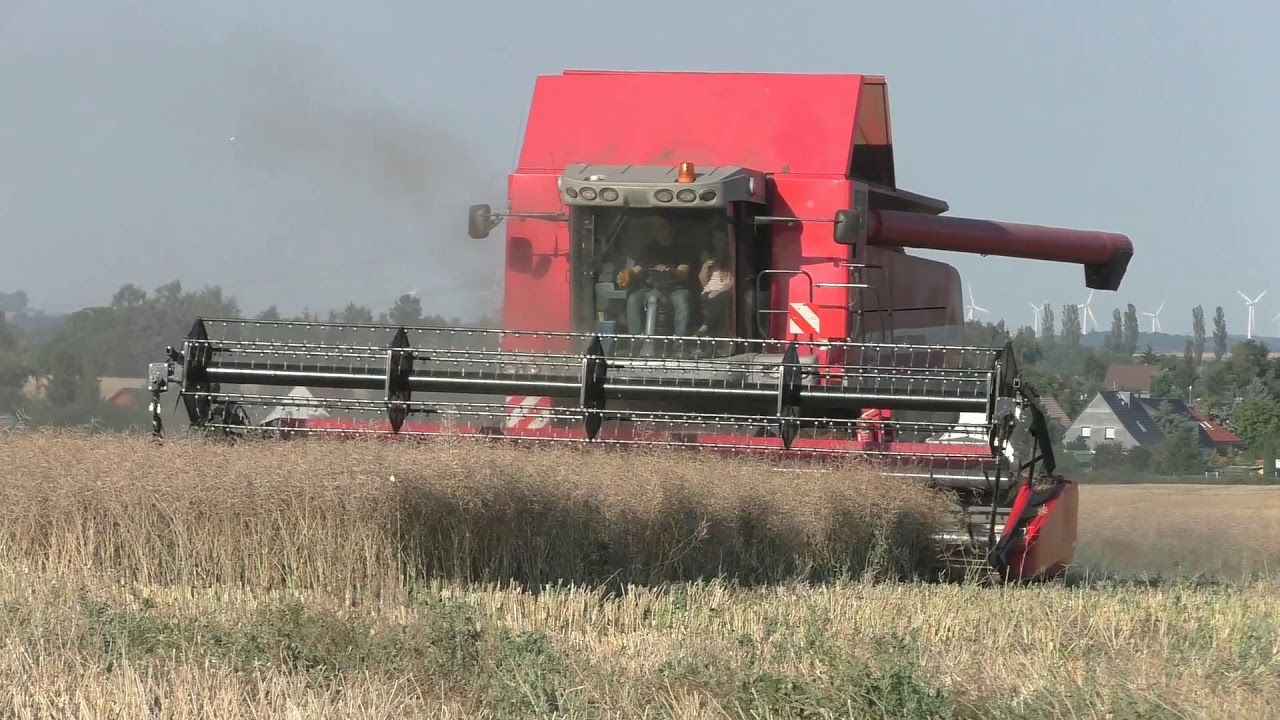 Monster Mähdrescher Giganten In Sachsen Anhalt ist mir ein  Massey Ferguson MF 7282 Centora Mähdresc