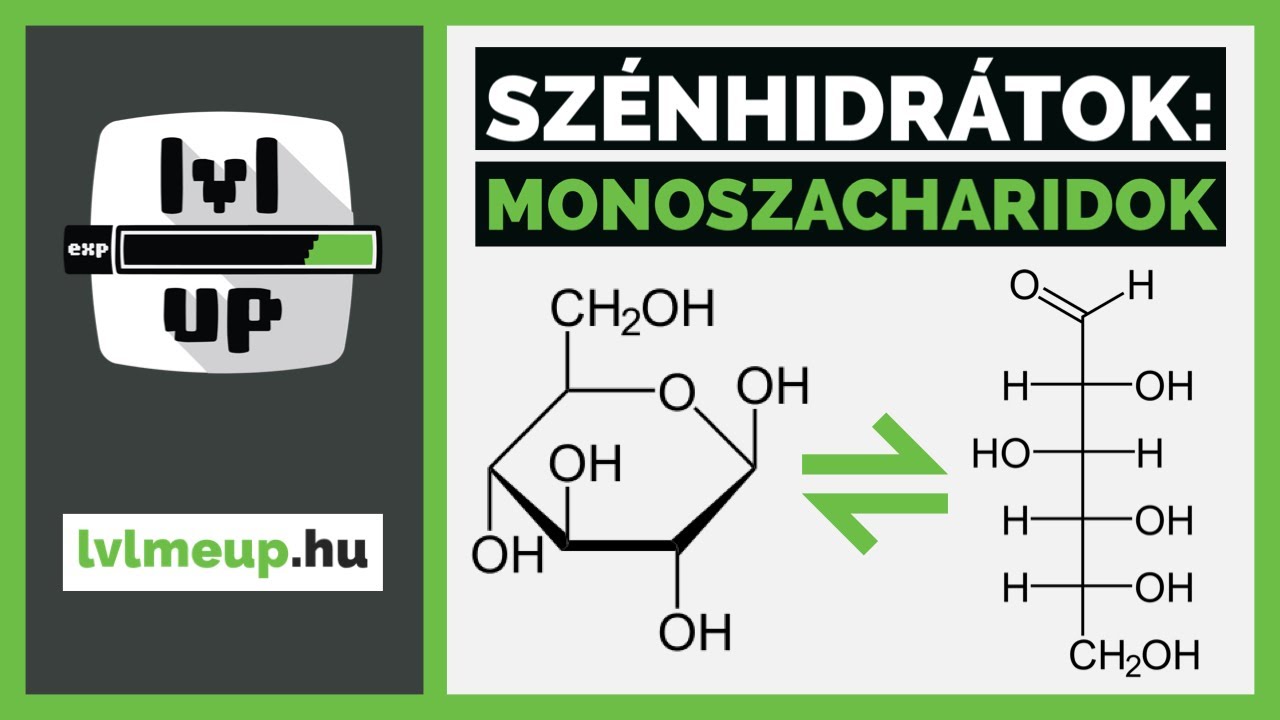 Szénhidrátok - Monoszacharidok | lvlmeup.hu | Emelt kémia érettségi | Szerves kémia
