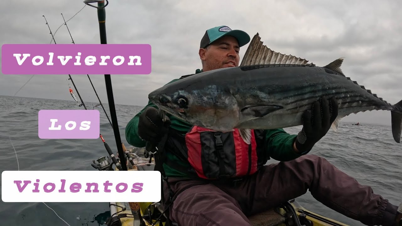 Pesca de bonitos - Volvieron los violentos #pescaenkayak #pesca #chile #aventura