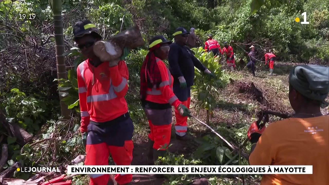 Environnement : renforcer les enjeux &eacute;cologiques &agrave; Mayotte