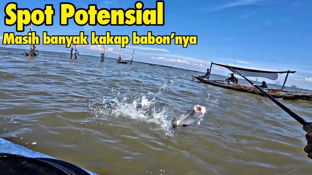 Mancing kakap putih di spot turus suramadu