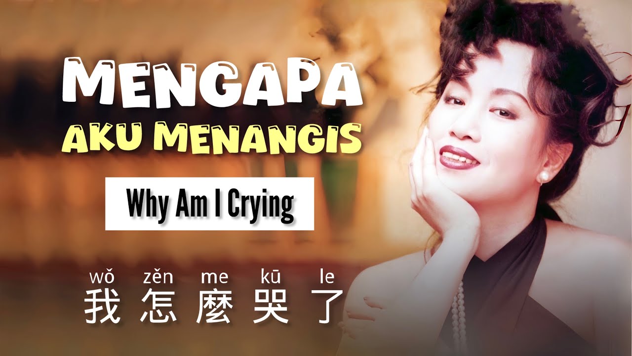 我怎麼哭了• Wo Zen Me Ku Le • 林淑容 • Mengapa Aku Menangis • Why am I crying • Chinese Song • Pinyin