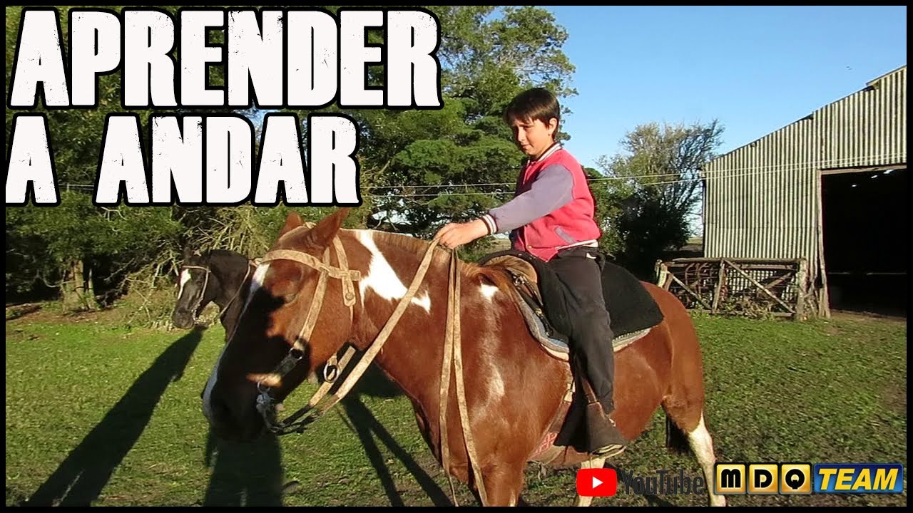 Como enseñarle a un niño a andar a caballo