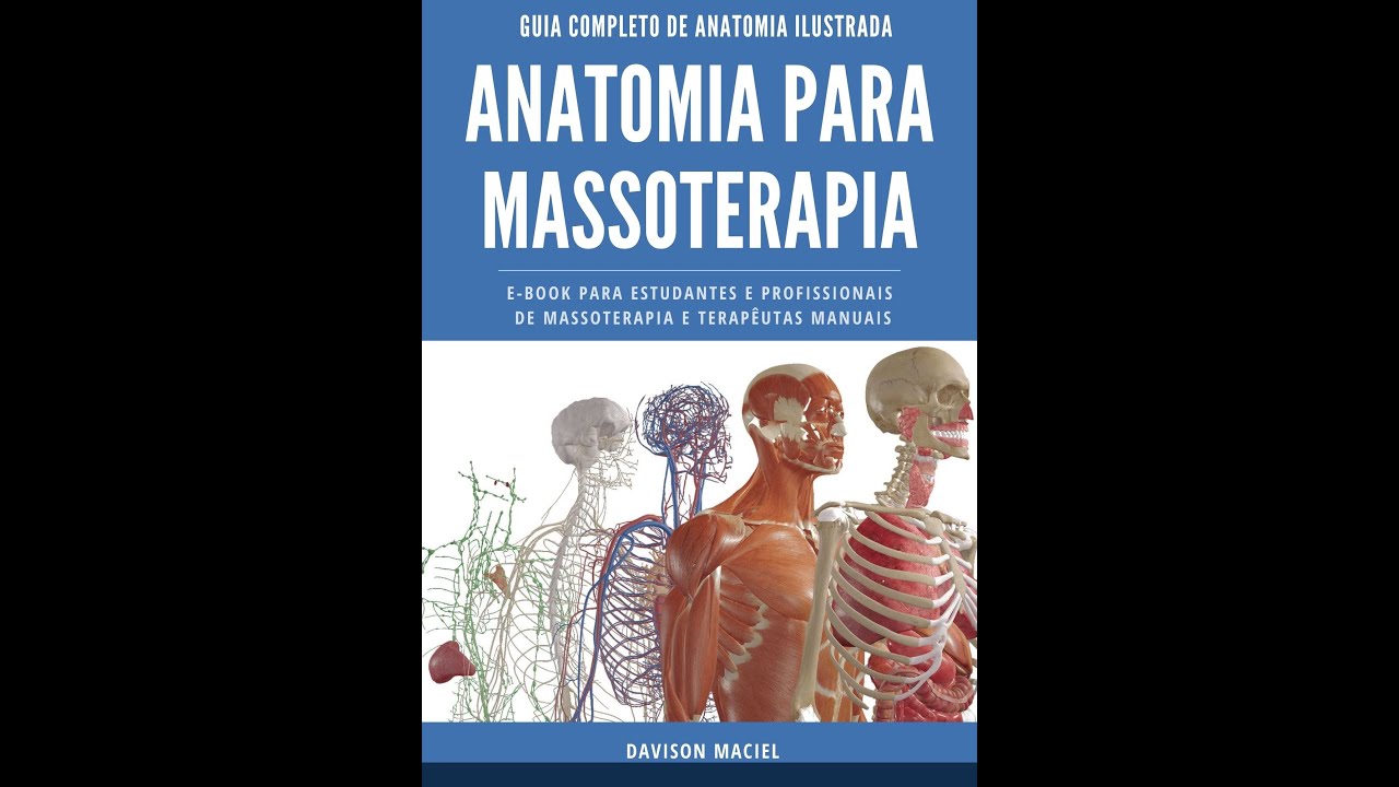 6° Aula anatomia para massoterapia sistema articular - artrologia
