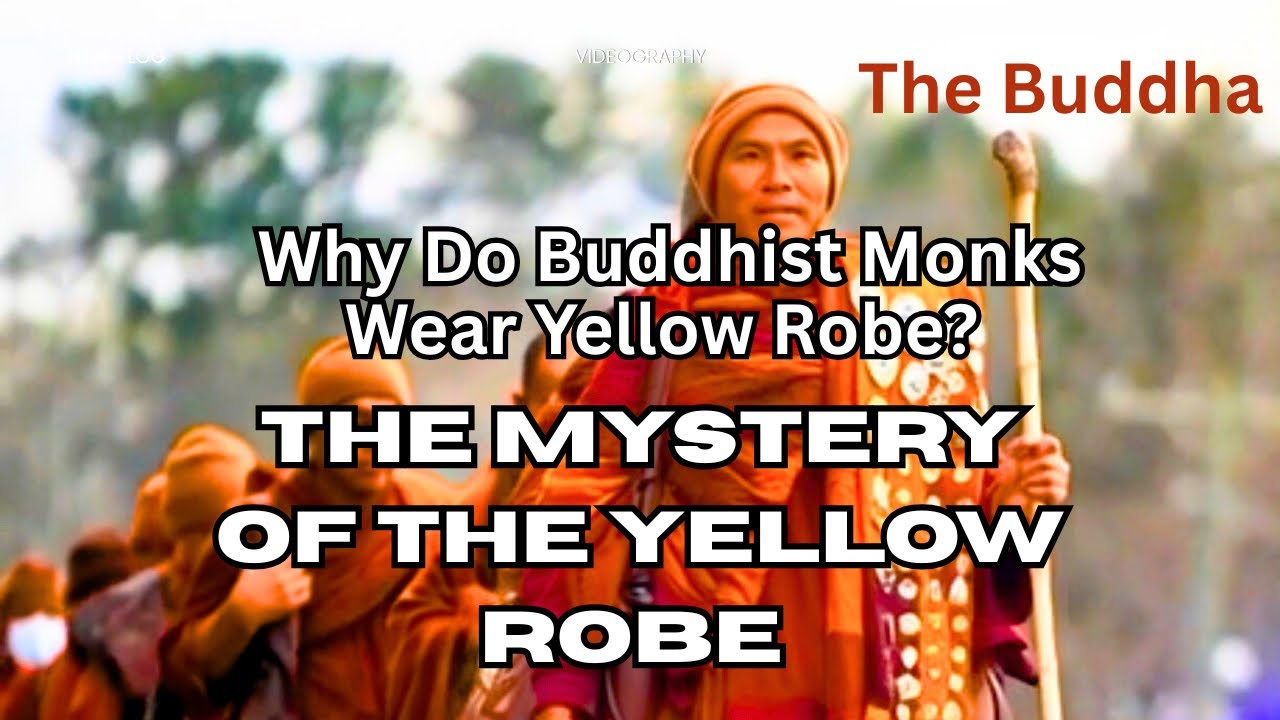 Why Do Buddhist Monks Wear Yellow Robe? The Mystery of the Yellow Robe 