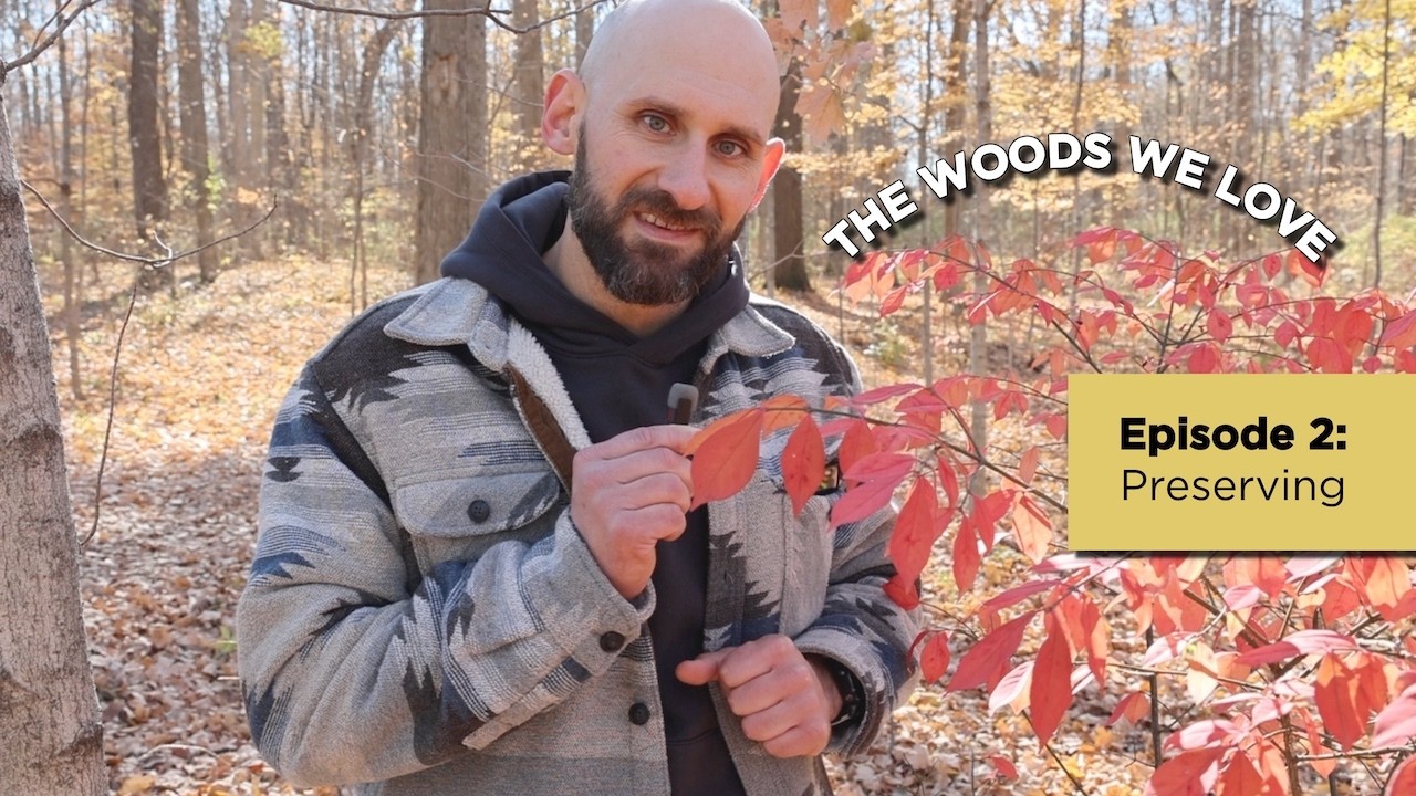 The Woods We Love Episode 2: Preserving