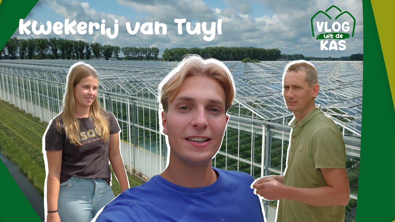 VLOG UIT DE KAS! 🍓 Aardbeien proeven bij Kwekerij van Tuyl
