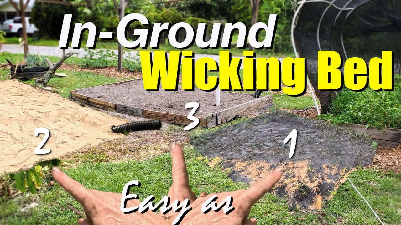 Trialing Corn in an In-Ground Wicking Bed-Part 1 (Digging the Pit)