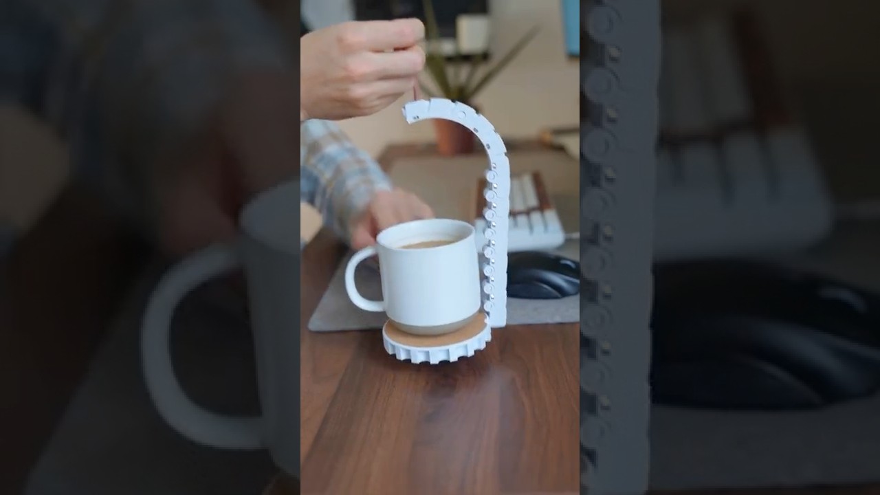 The World&rsquo;s Most Over-Engineered Coaster