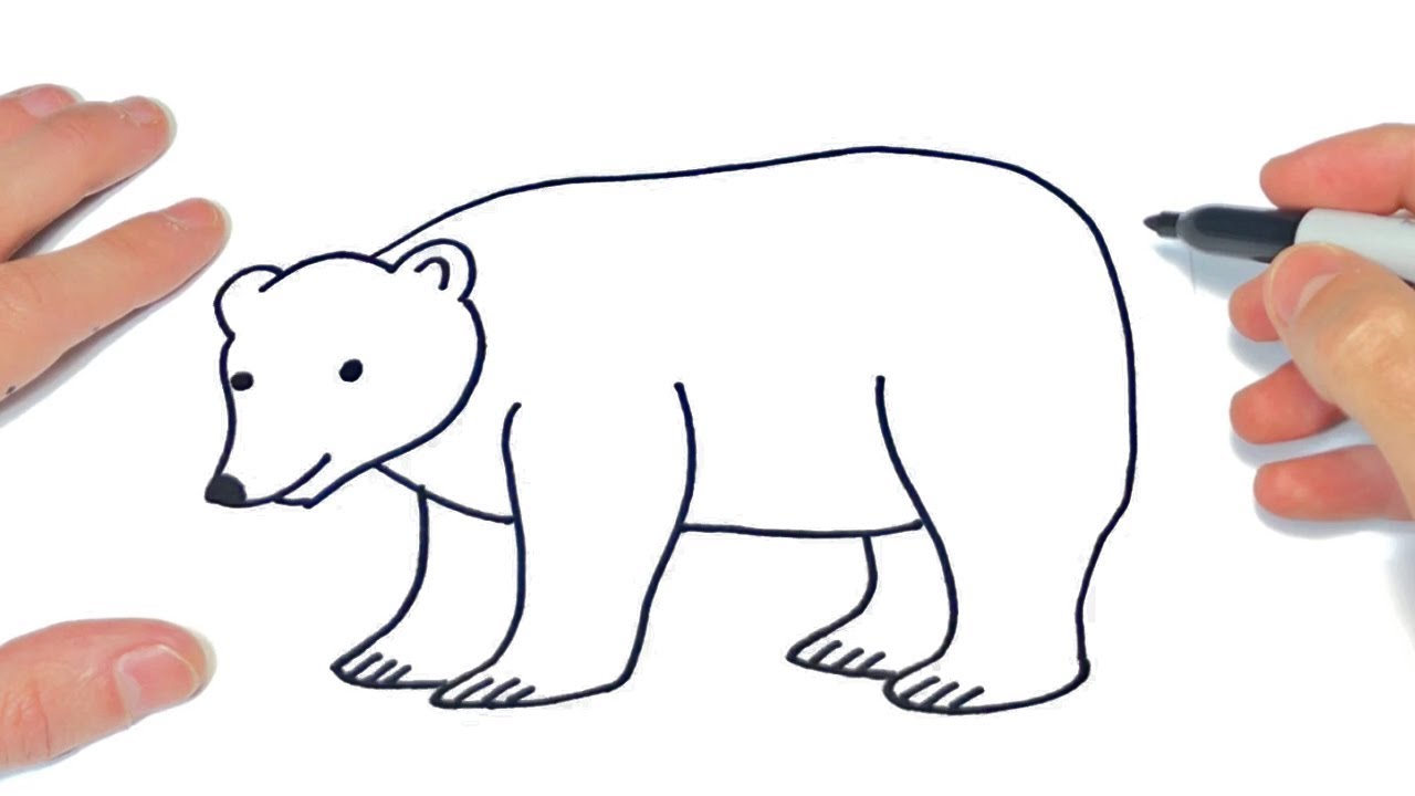 Cómo dibujar un Oso Polar Paso a Paso | Dibujo de Oso Polar