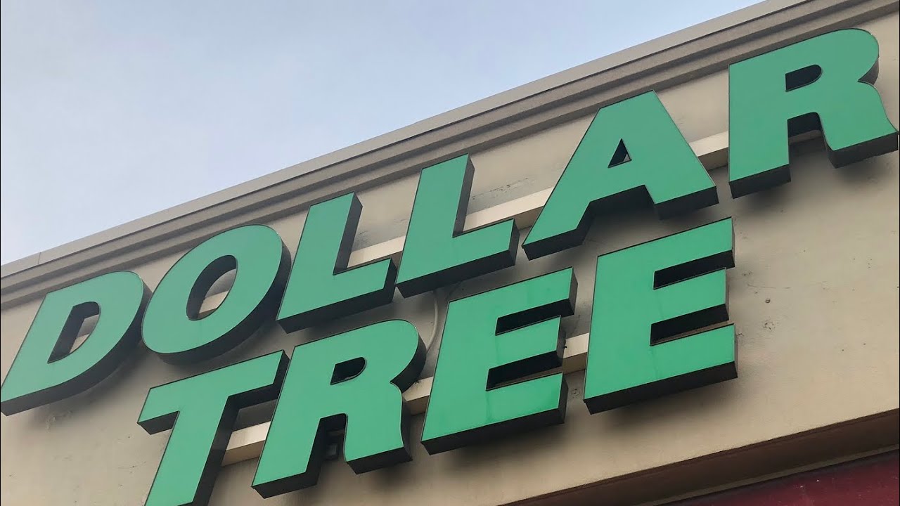 New Items At The Dollar Tree Plus Haul/ DOYlife / #dollartreehaul #doylife  👍
