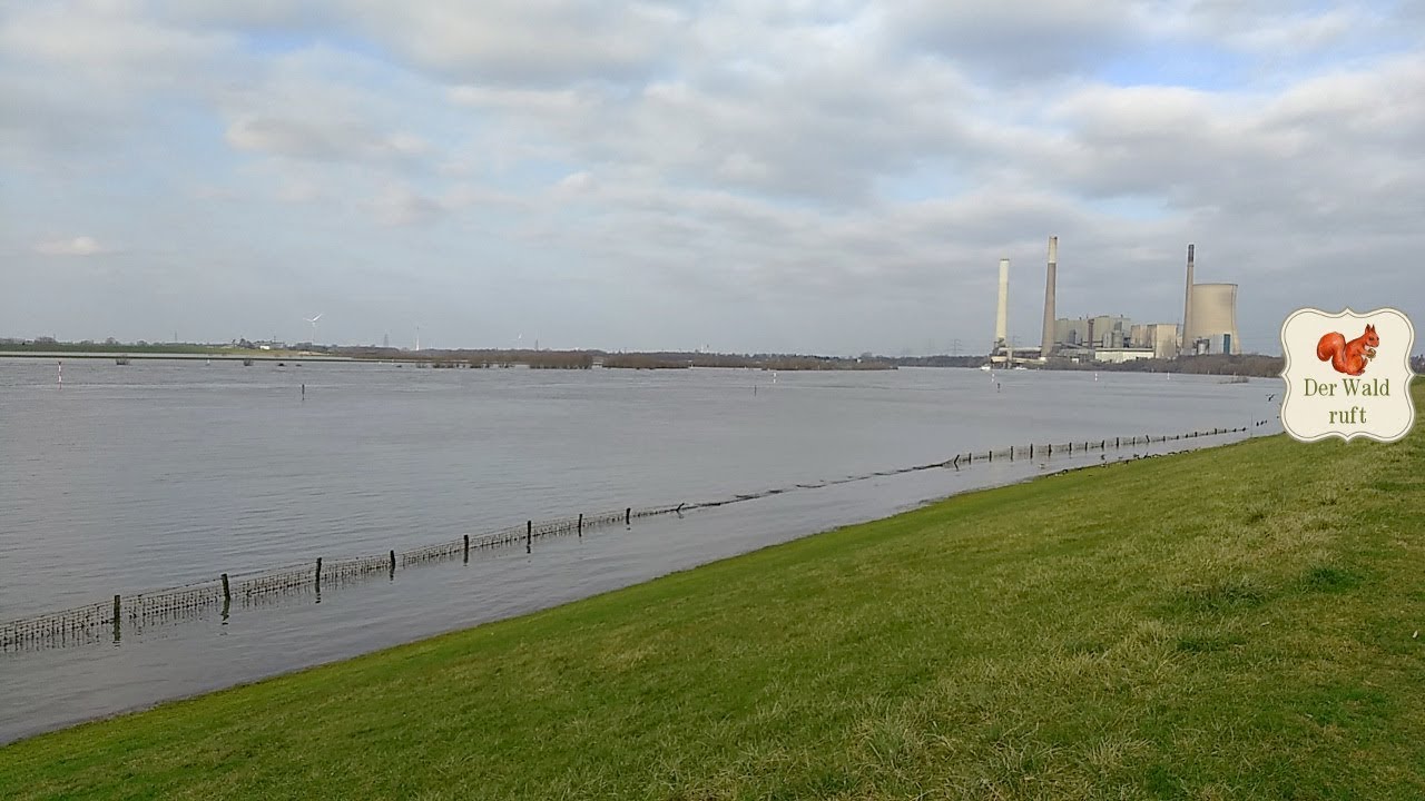 Rheinaue Walsum