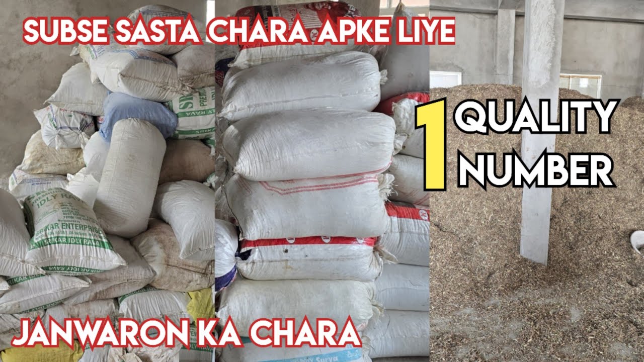 Tuwar bhunsa available in Hyderabad | sasta janwaro ka chara in baba nagar Hyderabad | goat feed